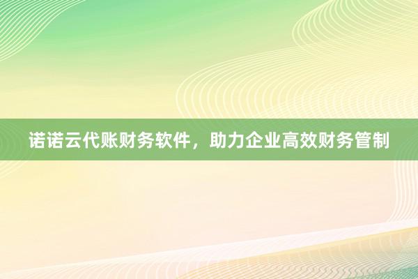 诺诺云代账财务软件，助力企业高效财务管制
